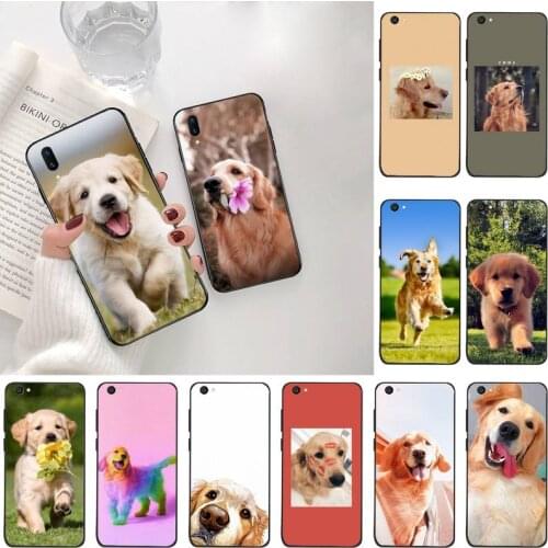 Golden Retriever dog Phone Case For Vivo Y91c Y17 Y51 Y67 Y55 Y7s Y81 Y19 Y97 Y93 V17 vivos5