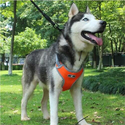 Dog Protective Vest Adjustable Reflective Breathable Harnesses For Medium Large Dog Breast-band Husky Alaskan Pet Accessories