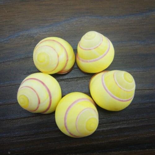 Small conch, yellow snail (very rare), textured snail, flower wheat snail, platform fish tank, wedding gift