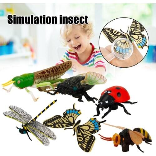 6pcs Plastic Insects Lady Bugs Butterfly Display Dragonfly Animals Model Early Educational Toy For Kids SDF-SHIP