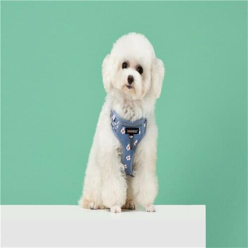 Dog Chest Back Tow Rope Two-Piece Set Durable Dog Harness And Leash Set Breathable Adjustable Soft Small Dogs