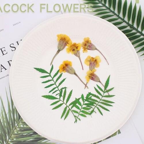 12 small dry flower embossing DIY aromatherapy candle material home decoration DIY hand painting material