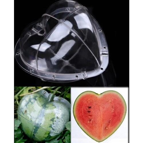Large Plastic Heart/Square Fruit Shaping Mould Watermelon Growth Forming Mold Vegetable Growing Mold Garden Nursery Pot