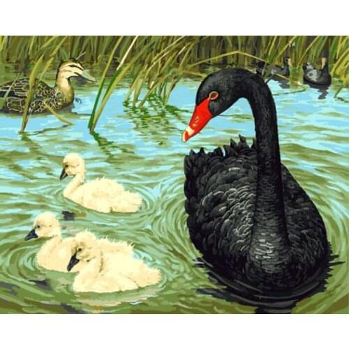 Frameless painting by numbers paint by number for home decor PBN for living room 4050 black swan
