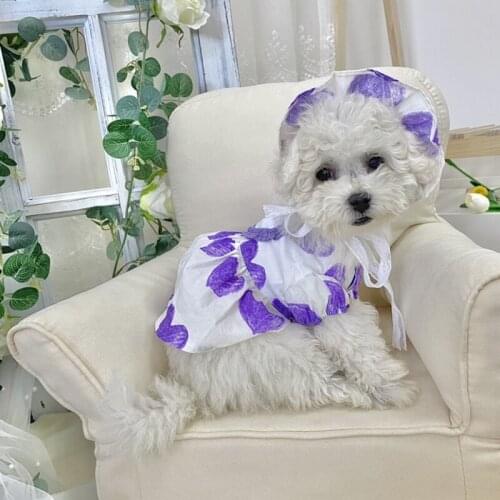 Cat Dog Dress and Hat Summer Pet Clothes Dog Clothing Skirt Chihuahua Yorkie Pomeranian Poodle Bichon Schnauzer maltese Costumes