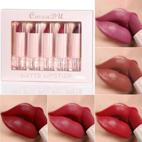 5PC Velvet Matte Lipstick Set Matte Moisturizing Waterproof Non-marking Lipstick Long Lasting Lipstick Portable Lip Makeup TSLM1