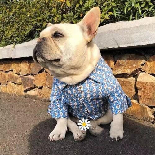 Fashion Pet Dog Spring Shirt Clothes For Small Medium Puppy Dogs Clothing Coat French Bulldog Pug Schnauzer Dropshipping BFC05