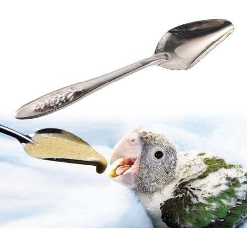 Nestling Feeding Spoon Bird Parrot Feeding Spoon Stainless Steel Water Milk Powder Feeder Spoons Bird Supplies 2 Pcs/set