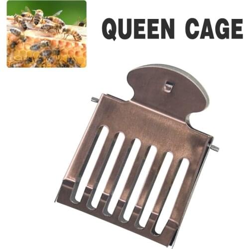 2PCS| Staineless Steel Beekeeping Bee Queen Catcher Bees Clip Cage Honeybee Product For Beekeeper Tools
