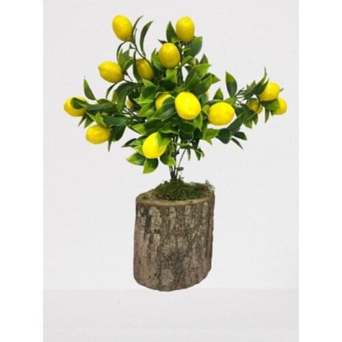 DAVİD BLACK Artificial Compositions