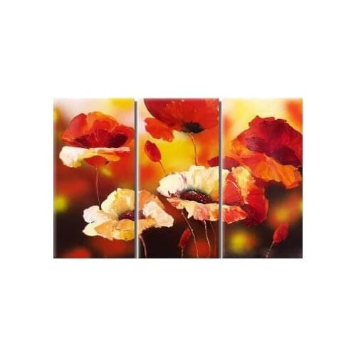 Hand painted oil painting Flirtatious Poppies-Modem canvas wall art set