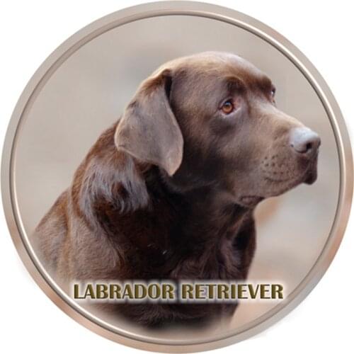 S40393# Various Sizes PVC Decal Labrador Retriever Dog Pet Animal Car Sticker For Bumper Rear Window Laptop Refrigerator Toilet