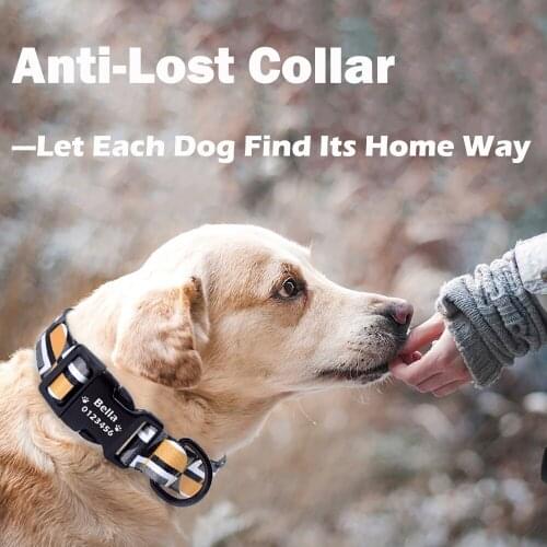 Luxury Designer Dog Collar Personalized for Big Dogs Accessories Pet Product Custom Dog Collar Nylon French Bulldog Chihuahua