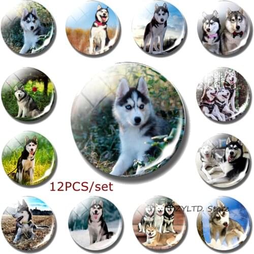 Siberian Husky Fridge Magnet Wolf Dog Refrigerator Magnets 12PCS Set Glass Cabochon Dog Decoration Animal Stickers Home Decor