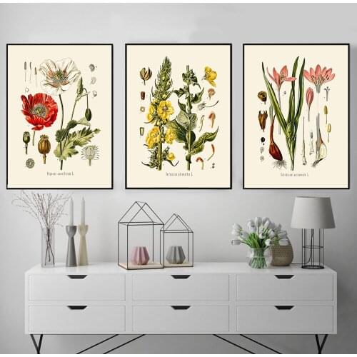 Canvas Painting Wall Art Vintage French Illustrations Wild Plant Posters Print Botanical Flower Picture Modern Kids Room Decor