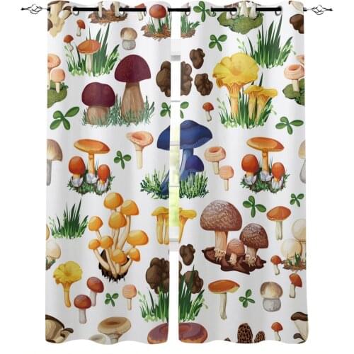 Colorful Mushroom Plant Fungus Blackout Curtains For Living Room Bedroom Window Treatment Blinds Drapes Kitchen Curtains