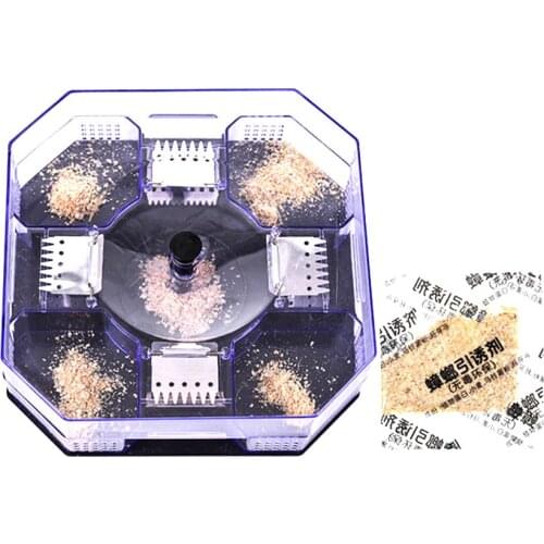 Effective Cockroach Traps Box Reusable Bug Roach Catcher Traps Cockroach Killer Bait Traps Pest Repeller for Kitchen Home new