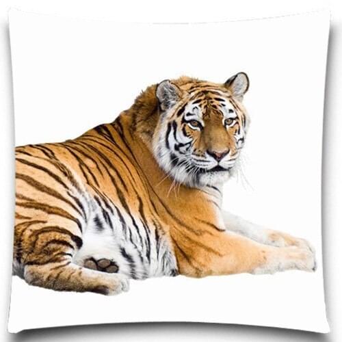 Animals Tiger fishes Square Pillow Case Countryside Home Living Bed Room Decorative Coffee Shop Office Relax Throw Back Pad