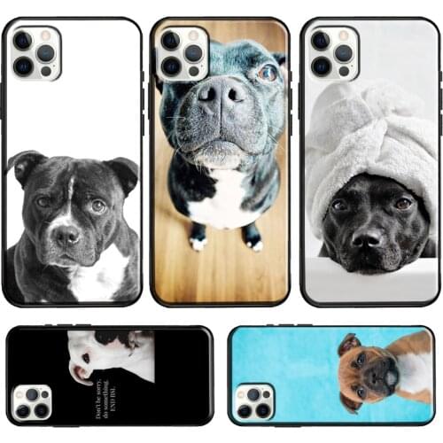 Staffordshire Bull Terrier Staffy Dog For iPhone 12 Pro Max mini Case For iPhone 11 Pro Max XR XS X SE 2020 7 8 Plus Cover