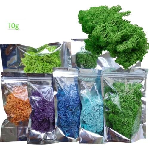 10g Natural Artificial Moss Preserved Flowers Grass Accessories House Decoration Ornament Garden Wall Decoration DIY Aesthetic