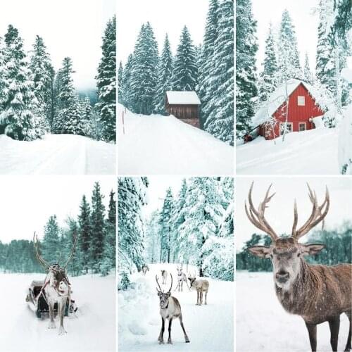 GATYZTORY Frame DIY Painting By Numbers Snow Scenery Painting Calligraphy Wall Art Canvas Painting For Home Decor 60x75cm