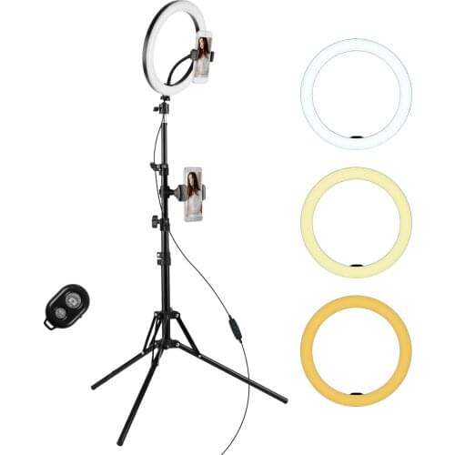 26cm Ring Light Kit with 2900-6600K Bi-color Dimmable Ring Video Light 3 Lighting Modes 10-Level Brightness for Photography