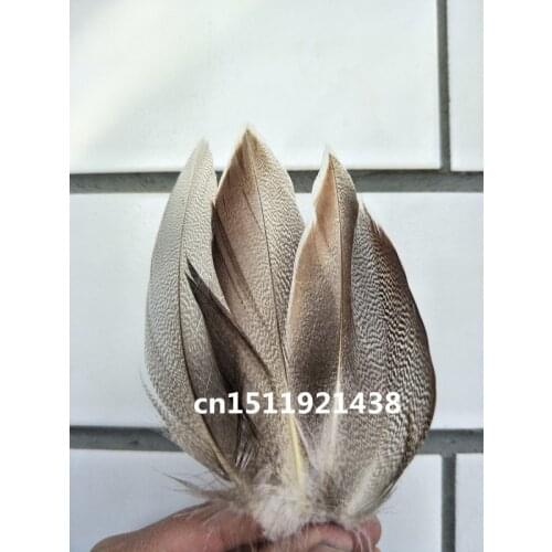 Free shipping wholesale beatiful 200pcs high quality natural pheasant feathers 5-10cm/2-4inch decorative diy Jewelry accessories