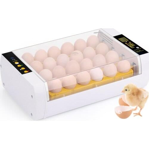 Digital Temperature Small Brooder 24 Mini Hatchery Egg Incubator Hatcher Auto Temperature Control Egg Turning Alarm Function