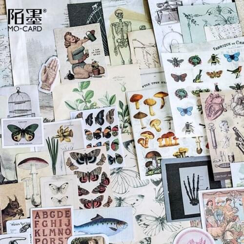 36Pcs/Lot Plant Animal Specimens Mix Material Paper Junk Journal Planner Scrapbooking Vintage Decorative DIY Craft Paper
