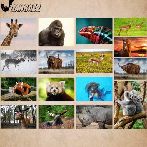 Zoo Dolphin Diamond Painting 5D Diy Wall Art Raccoon Horse Embroidery Inlaid Home Room Decoration Gift Accessories