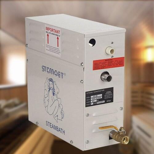 220V Sauna Steam Engine Household Bath Heating Prevent Dry Burn Commercial Stainless Steel Safety Steamer Wet Steamer Equipment