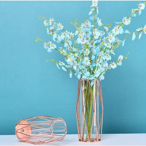 Luxury Transparent Glass Vases With Geometric Metal Golden Flower Pot Hydroponic Glass Tube Vase Home Room Decoration Ornaments