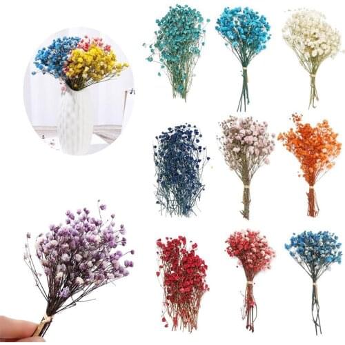Colorful Dried Flowers Small Natural Dried Floral Plants Mini Real Bouquets Home Decoration Photography Props Art Craft AUG889