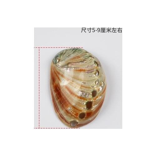 Natural safflower abalone shell fish tank landscaping aquarium decoration shooting props conch shell creative ornaments