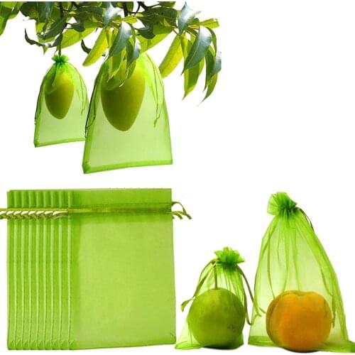 50pcs Plants Fruit Protection Bag Anti Bird Drawstring Net Bag Agriculture Pest Control Tool Prevent Fruit Tree Mosquitoes