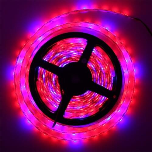 5M Waterproof Full Spectrum Led Growing Plant Light 4:1 SMD 5050 4 Red 1 Blue Led Strip lamps for Plants growing Greenhouse
