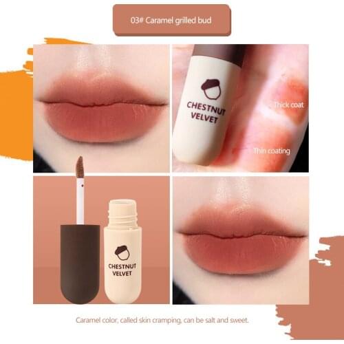 Chestnut Matte Velvet Lipstick Lip Mud Lip Gloss Cosmetic Waterproof Milk Coffe Lip Glaze Longlasting Sexy Lip Tint Makeup TSLM2
