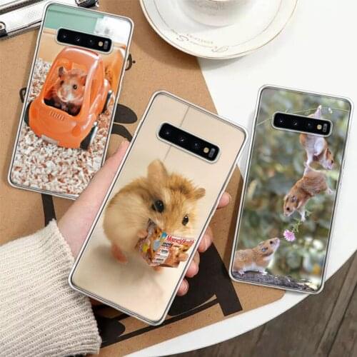 Cute Lovely Pet Hamster Silicon Phone Case For Samsung Galaxy A51 A71 A70 A50 A40 A30 A20E A10S A01 A21 A6 A7 A8 A9 Plus + Cover