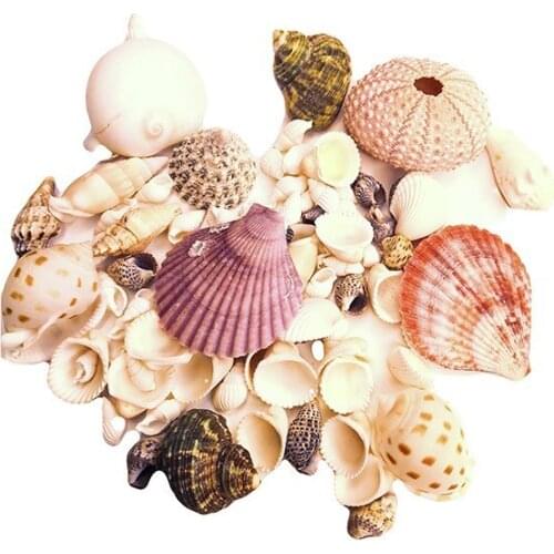 Craftsmen.store Interior Decor Items