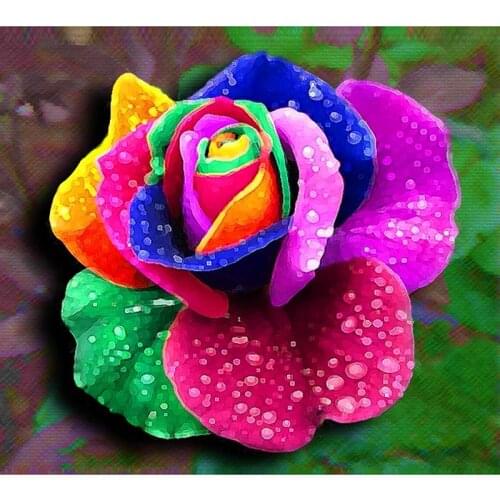 Colorfull rose diamond embroidery floral cross stitch crystal Square diamond sets unfinished decorative diamond painting HI55