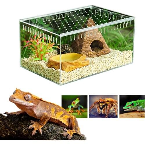 Reptile Breeding Box Acrylic Transparent Sliding Cover Reptile Tank Insect Spiders Tortoise Lizard Feeding Box Terrarium