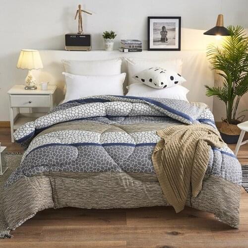 2021New Cotton Comforter Keep Warm The Spring and Autumn Quilt Core White Velvet Thickening Warm Winter Quilt Best Winter Gift