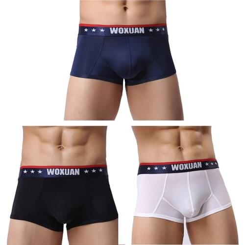 Sexy Mens Boxer Shorts Underwear Male Boy New Stretch Breathable Underpants with Pouch Swimwear High Quality Swim Beach Trunks