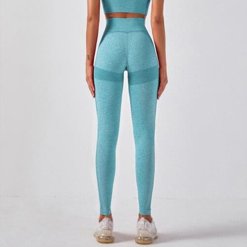 2020 Flex Seamless Yoga Leggings for Women Squat Proof Gym Leggings Workout Clothing Tummy Control Yoga Pants Fitness Trousers