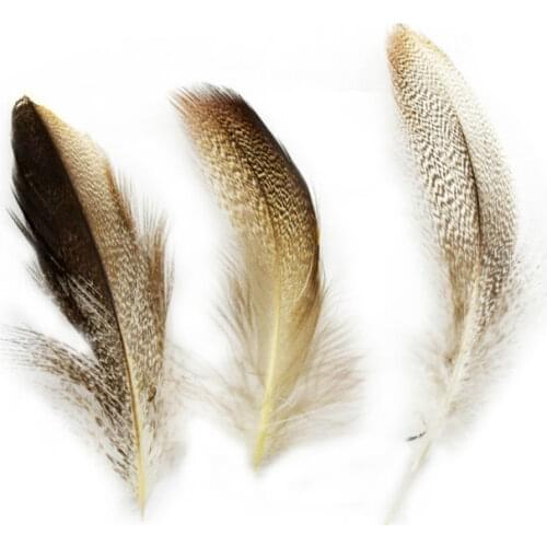 6-12cm 100 PCS Dyed DIY Grey Duck Feathers Hair Extension Pheasant Feathers Party Wedding Decorations IF23