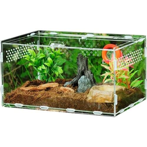 Acrylic Reptile Box For Spiders Tortoise Lizard Breeding Insect Box Vents Sliding Small Pet Terrarium Vivarium Breeding Box