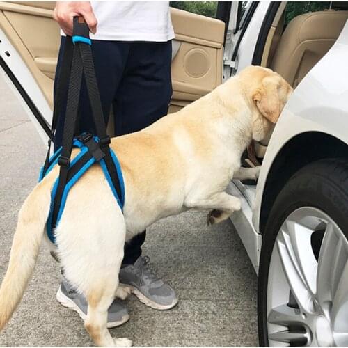 Pet Dogs Assist Tool Adjustable Dog Lift Harness For Back Legs Pet Support Sling Help Weak Legs Stand Up Pet Accessories