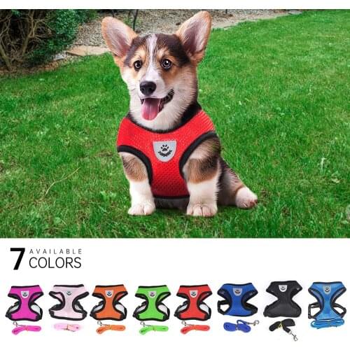 Украшения для животных Matsofamic China At AliExpress