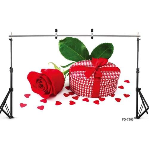 Valentines Rose Gifts Photography Backgrounds for Photo Studio Props Children Baby Lover Vinyl Cloth Backdrops Photobooth