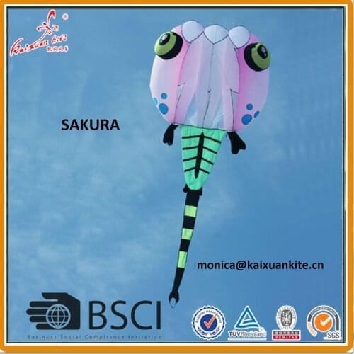 8 sqm Tadpole Kite, soft kite, show kite, Lifter